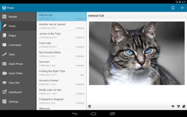 WordPress android App screenshot 4